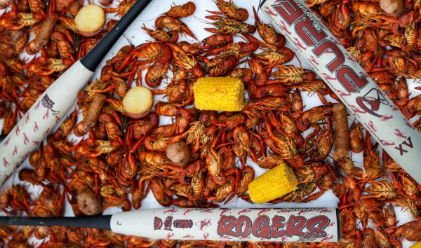 2025 12" Logan Rogers Signature Crawdaddy - Balanced - Image 6